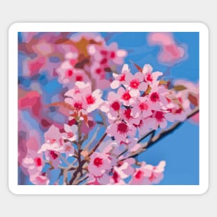 Cherry Blossoms in Bloom Sticker